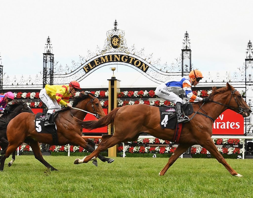 Melbourne Cup Trading Guide